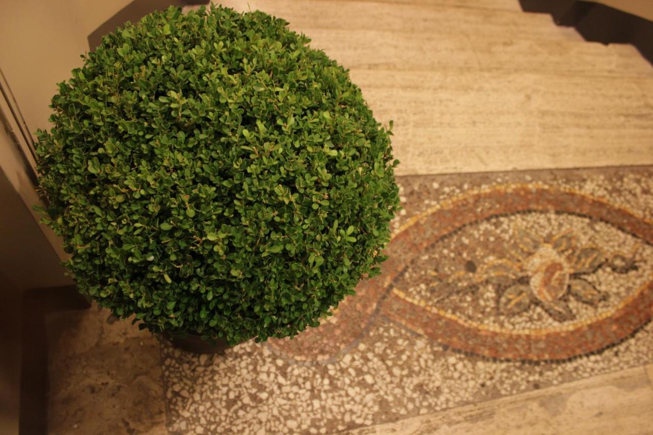 Millina Suites In Navona Ρώμη Εξωτερικό φωτογραφία